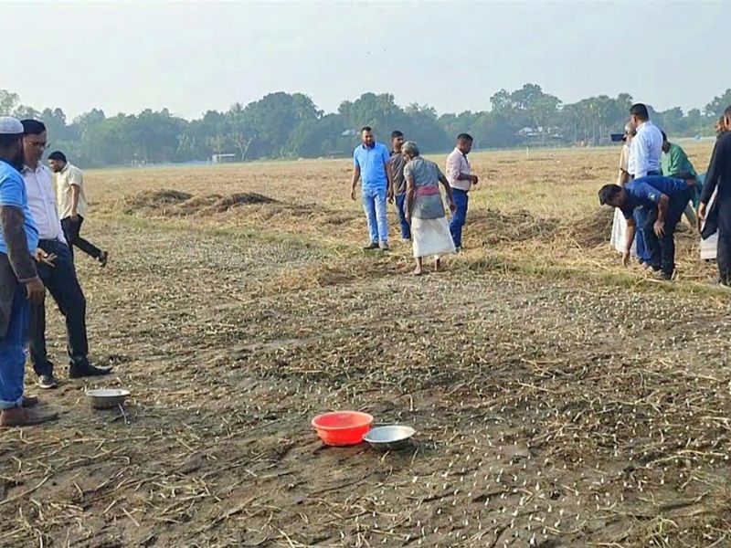 চলনবিলের ফসল চাষ পদ্ধতি ঘটাতে পারে নতুন কৃষি বিপ্লব